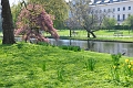 23 04_Regents Park_2614